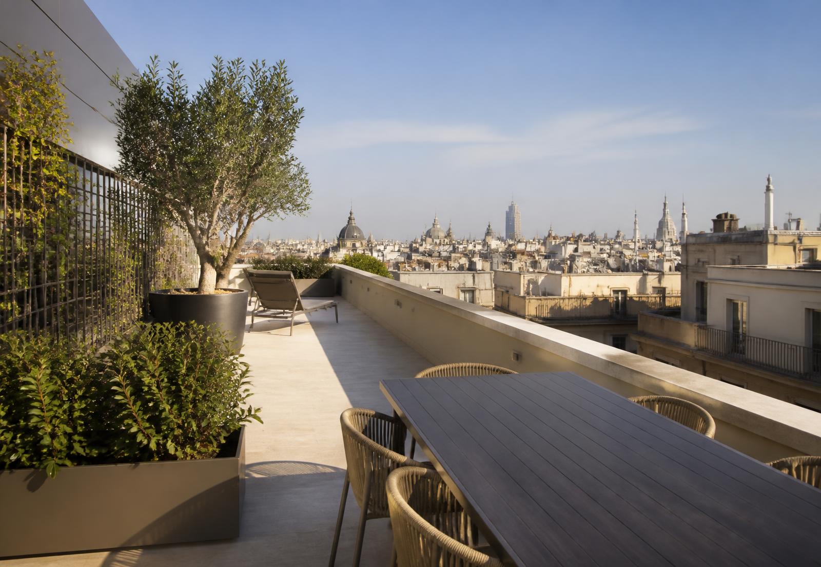 Terraza del Ático Provença con olivo en maceta y vistas a los tejados del Eixample